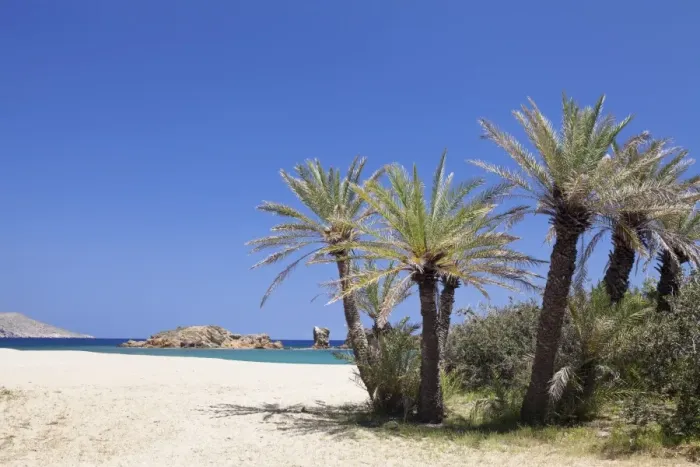 Framed Print : Beach and Palm Tree Forest, Vai, Lasithi, Eastern Crete, Crete, Greek Islands, Greece, Europe Framed Print : Beach and Palm Tree Forest, Vai, Lasithi, Eastern Crete, Crete, Greek Islands, Greece, Europe