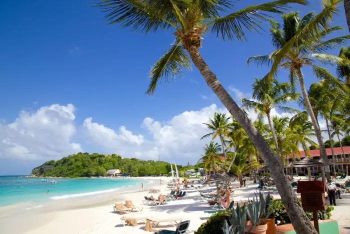 Framed Print : Beach and palm trees, Long Bay, Antigua, Leeward Islands, West Indies, Caribbean, Central America Framed Print : Beach and palm trees, Long Bay, Antigua, Leeward Islands, West Indies, Caribbean, Central America