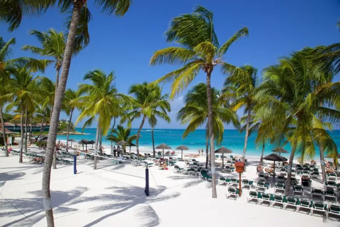 Framed Print : Beach and palm trees, Long Bay, Antigua, Leeward Islands, West Indies, Caribbean, Central America Framed Print : Beach and palm trees, Long Bay, Antigua, Leeward Islands, West Indies, Caribbean, Central America