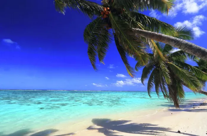 Framed Print : Beach and palm trees, Rarotonga, Cook Islands, South Pacific, Pacific