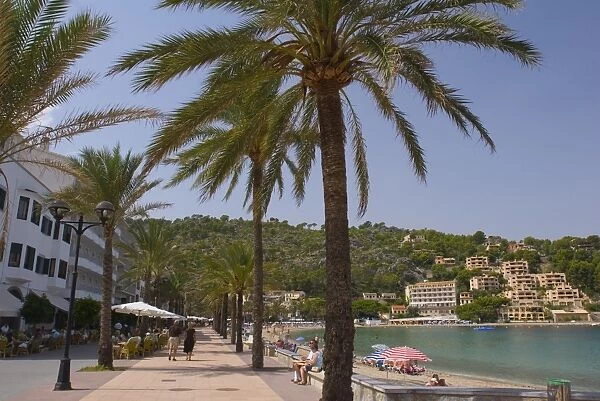 Beach with palm trees, Soller, Mallorca, Balearic Islands, Spain, Mediterranean, Europe
