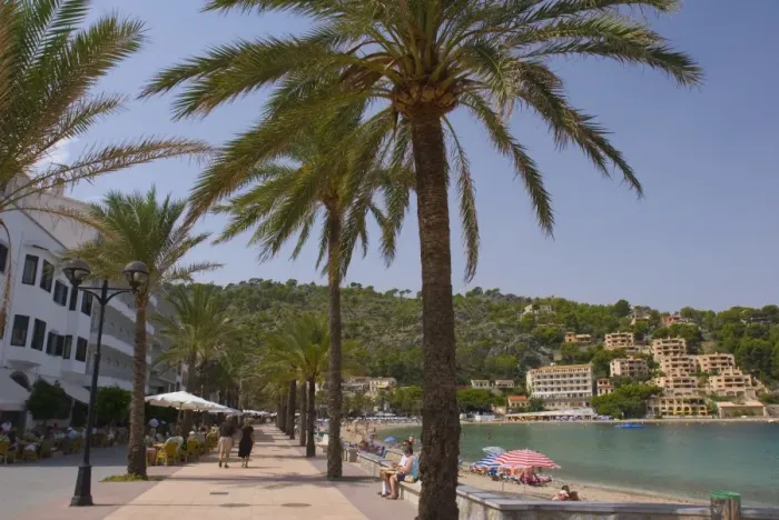 Framed Print : Beach with palm trees, Soller, Mallorca, Balearic Islands, Spain, Mediterranean, Europe Framed Print : Beach with palm trees, Soller, Mallorca, Balearic Islands, Spain, Mediterranean, Europe