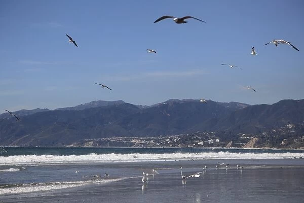Beach, Santa Monica, Malibu Mountains, Los Angeles, California, United States of America