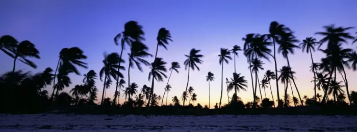 Framed Print : Beach scene at twilight with palm trees in silhouette, near Bweju, island of Zanzibar Framed Print : Beach scene at twilight with palm trees in silhouette, near Bweju, island of Zanzibar