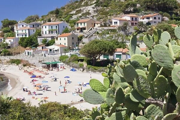 Beach of Seccheto, Island of Elba, Livorno Province, Tuscany, Italy, Europe