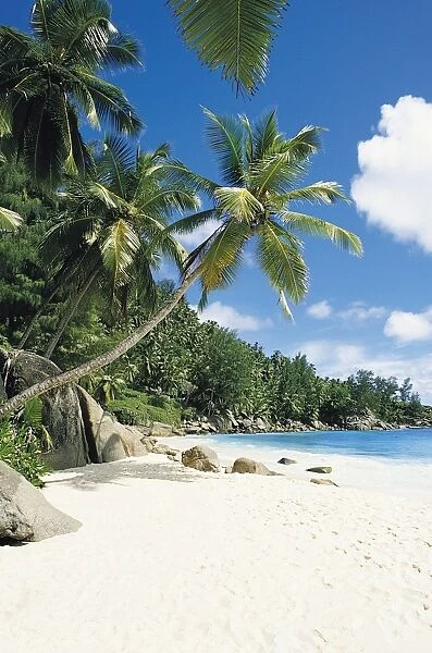 Beach, Seychelles
