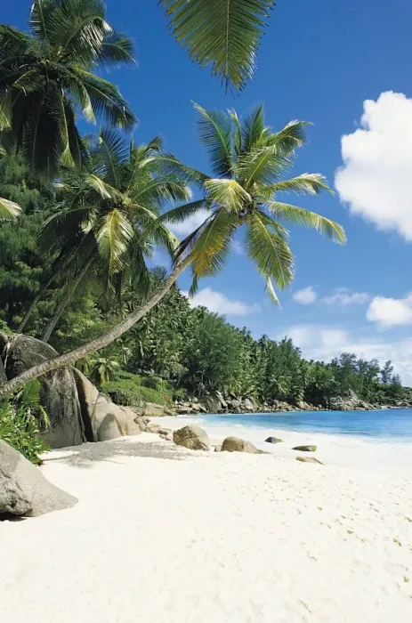 Framed Print : Beach, Seychelles