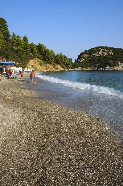Beach at Stafilos, Skopelos, Sporades Islands, Greek Islands, Greece, Europe