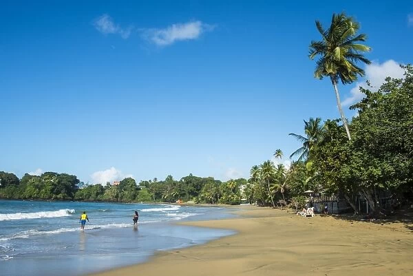 The beach of Stonehaven Bay, Tobago, Trinidad and Tobago, West Indies, Caribbean, Central America