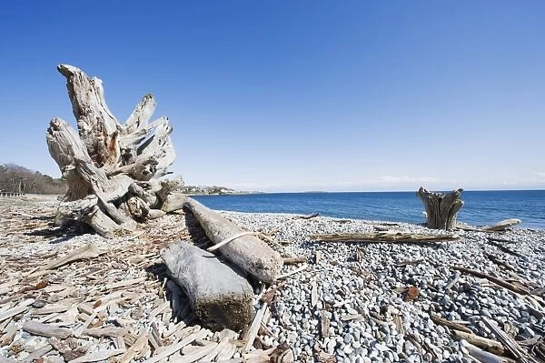 A beach on the Strait of Juan de Fuca, Victoria, Vancouver Island, British Columbia