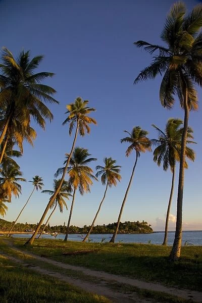 Beach at sunset, Morris Bay, St. Mary, Antigua, Leeward Islands, West Indies, Caribbean, Central America