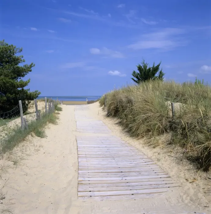Framed Print : Beach on the west coast, Ile de Re, Poitou-Charentes, France, Europe Framed Print : Beach on the west coast, Ile de Re, Poitou-Charentes, France, Europe