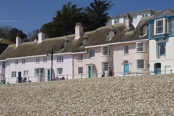 Beachside cottages along the Promenade, Lyme Regis, Dorset, England, United Kingdom