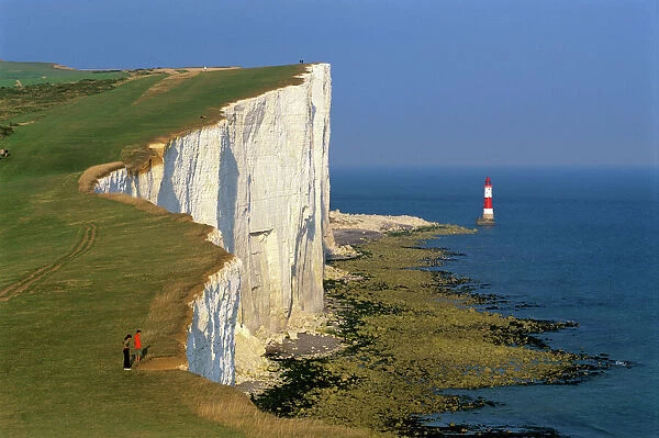 Beachy Head Lighthouse and chalk cliffs, Eastbourne, East Sussex, England, United Kingdom, Europe
