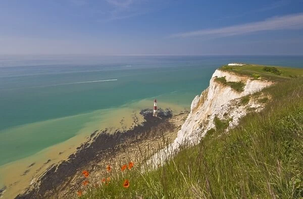 Beachy Head lighthouse, white chalk cliffs, poppies and English Channel
