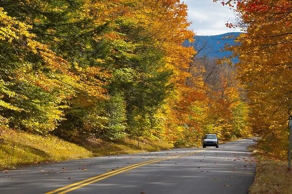 Bear Notch Road, White Mountains National Forest, New Hampshire, New England, United States of America, North America