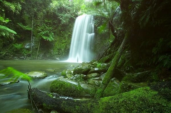 Beauchamp Fall, Waterfall in the Rainforest, Otway N. P, Great Ocean Road