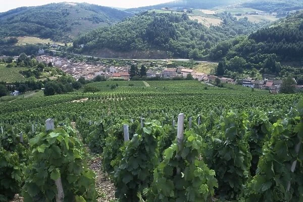 Beaujolais vineyards, Beaujeau village, Rhone Valley, France, Europe