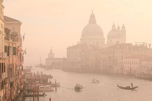 Beautiful Grand Canal, winter fog, morning golden light, Santa Maria della Salute, Venice