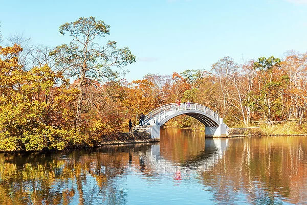 Beautiful Hakamagoshi Bridge on Lake Onuma on a vibrant autumn day, Hokkaido, Japan, Asia