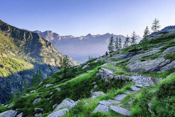 Framed Print : Beautiful idyllic hiking trail in the early morning sun light with mountain chain in the background, Monte Rosa, Piedmont, Italian Alps, Italy, Europe Framed Print : Beautiful idyllic hiking trail in the early morning sun light with mountain chain in the background, Monte Rosa, Piedmont, Italian Alps, Italy, Europe