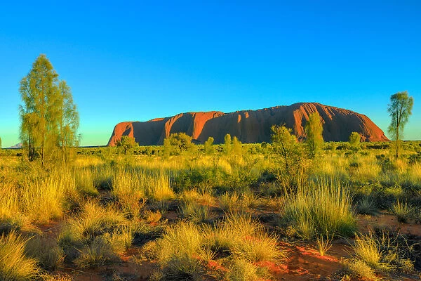 Beautiful landscape of huge Ayers Rock (Uluru) monolith from Talinguru Nyakunytjaku