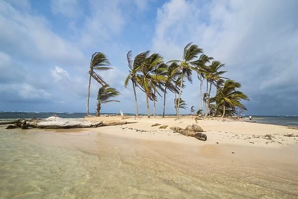 Beautiful little island, Achutupu, San Blas Islands, Kuna Yala, Panama, Central America