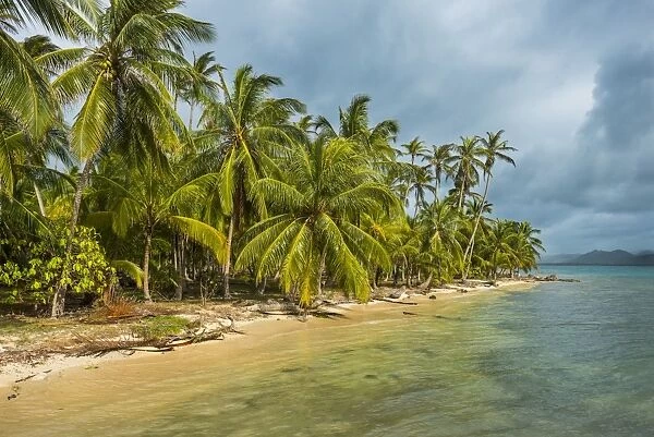 Beautiful palm fringed beach, Achutupu, San Blas Islands, Kuna Yala, Panama, Central