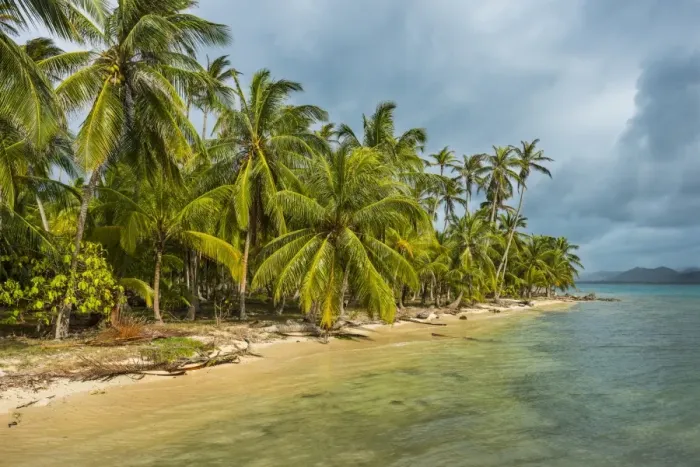 Framed Print : Beautiful palm fringed beach, Achutupu, San Blas Islands, Kuna Yala, Panama, Central Framed Print : Beautiful palm fringed beach, Achutupu, San Blas Islands, Kuna Yala, Panama, Central