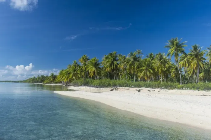 Framed Print : Beautiful palm fringed white sand beach in the turquoise waters of Tikehau, Tuamotus Framed Print : Beautiful palm fringed white sand beach in the turquoise waters of Tikehau, Tuamotus