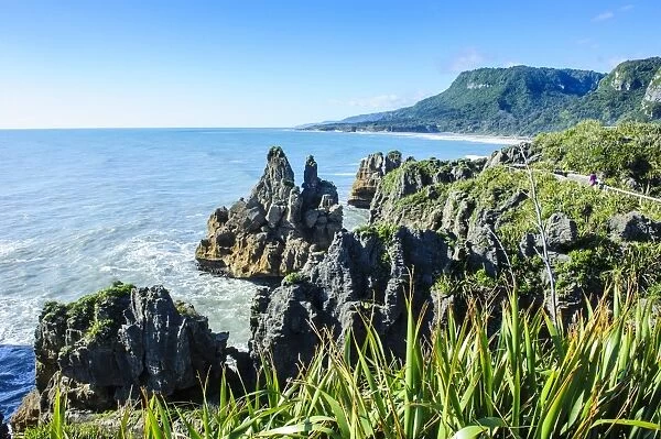 Beautiful rock formation, Pancake Rocks, Paparoa National Park, West Coast, South Island, New Zealand, Pacific