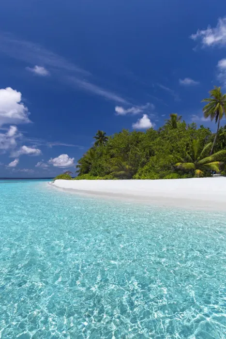 Framed Print : Beautiful sandy beach, lagoon and palm trees, The Maldives, Indian Ocean, Asia Framed Print : Beautiful sandy beach, lagoon and palm trees, The Maldives, Indian Ocean, Asia