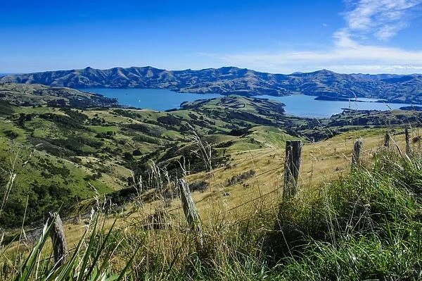 Beautiful scenery around Akaroa harbour, Banks Peninsula, Canterbury, South Island, New Zealand, Pacific