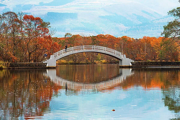 Beautiful white bowed bridge reflecting in a clear lake with red autumn colours surrounding, Lake Onuma, Hokkaido, Japan, Asia