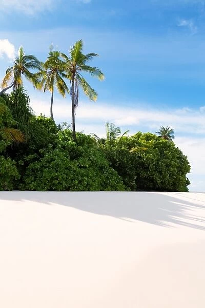 A beautiful white-sand beach on a deserted island in the Northern Huvadhu Atoll, Maldives, Indian Ocean, Asia