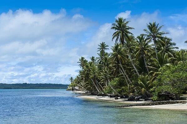Beautiful white sand beach and palm trees on the island of Yap, Federated States of Micronesia, Caroline Islands, Pacific