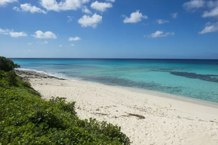 Framed Print : Beautiful white sand beach and turquoise water in Providenciales, Turks and Caicos Framed Print : Beautiful white sand beach and turquoise water in Providenciales, Turks and Caicos