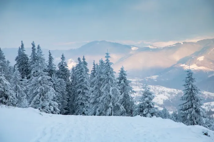 Framed Print : Beautiful winter landscape in Vladeasa mountains, Transylvania, Romania, Europe Framed Print : Beautiful winter landscape in Vladeasa mountains, Transylvania, Romania, Europe