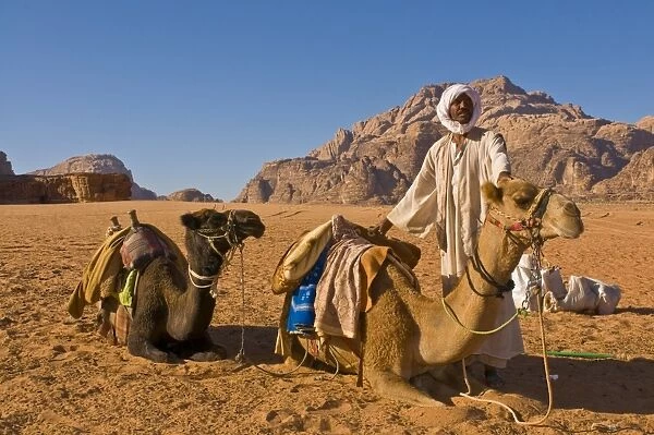 Bedouin with his camels in the stunning scenery of Wadi Rum, Jordan, Middle East