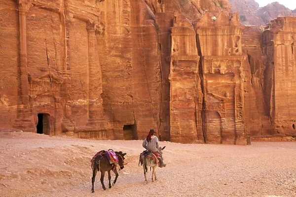 Bedouin with donkeys in front of the Outer Siq, Petra, UNESCO World Heritage Site, Jordan, Middle East