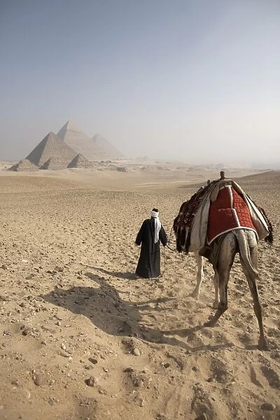 A Bedouin guide and camel approaching the Pyramids of Giza, UNESCO World Heritage Site