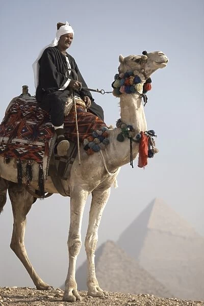 A Bedouin guide on camel-back overlooking the Pyramids of Giza, UNESCO World Heritage Site