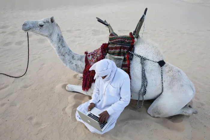 Framed Print : Bedouin using a laptop in the Sahara, Douz, Kebili, Tunisia, North Africa, Africa Framed Print : Bedouin using a laptop in the Sahara, Douz, Kebili, Tunisia, North Africa, Africa