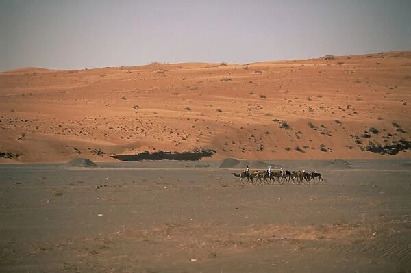 Bedouins and camels in the desert