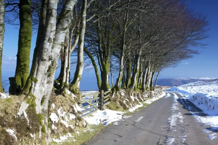Framed Print : Beech trees in snow above Porlock, Exmoor National Park, Somerset, England, United Kingdom, Europe Framed Print : Beech trees in snow above Porlock, Exmoor National Park, Somerset, England, United Kingdom, Europe
