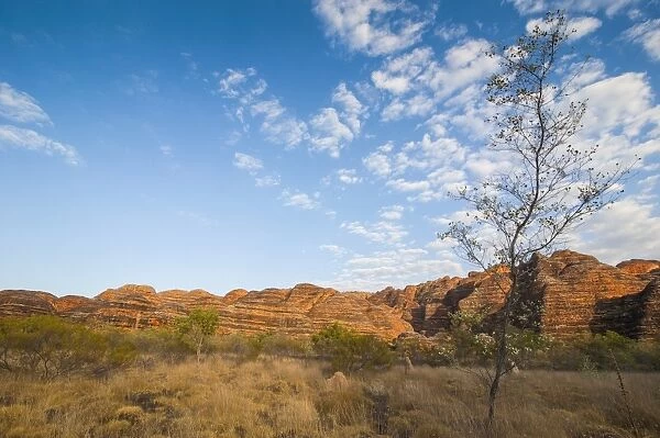 The beehive-like mounds, Purnululu National Park, UNESCO World Heritage Site, Bungle Bungle Mountain Range, Western Australia, Australia, Pacific