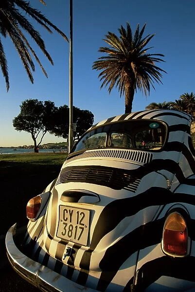 Back of a Beetle car painted in zebra stripes