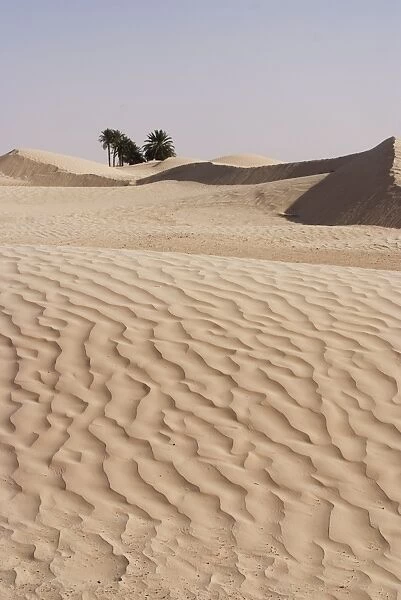 The beginning of the Sahara Desert, Douz, Tunisia, North Africa, Africa