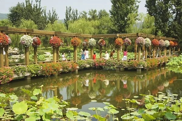 Beijing Botanical Gardens, Beijing, China, Asia