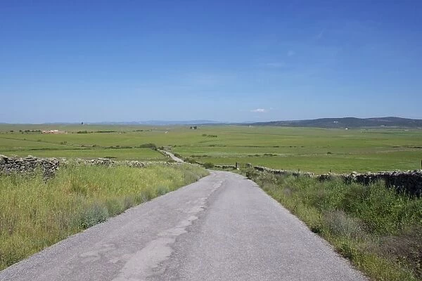 Belen Plains, near Trujillo, Extremadura, Spain, Europe